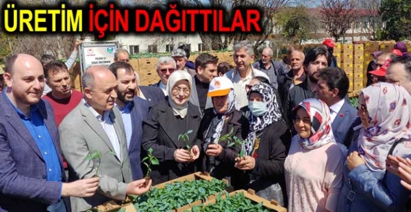 ÇİFTÇİLERE TOHM VE FİDE DAĞITILDI