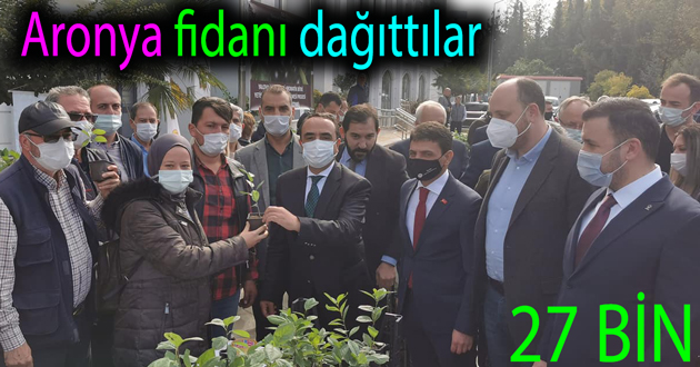 ÇİFTÇİYE 27 BİN ARONYA FİDANI DAĞITILDI
