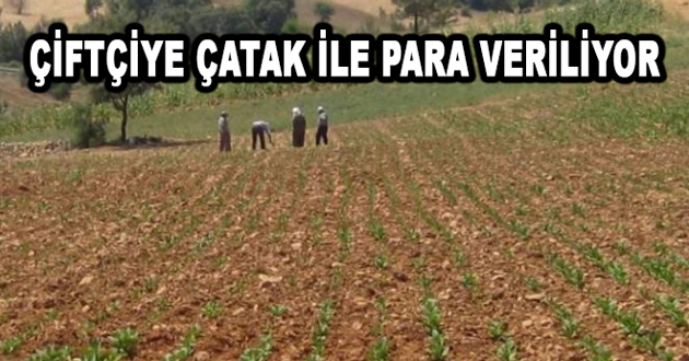 ÇİFTÇİYE ÇATAK İLE PARA VERİLİYOR