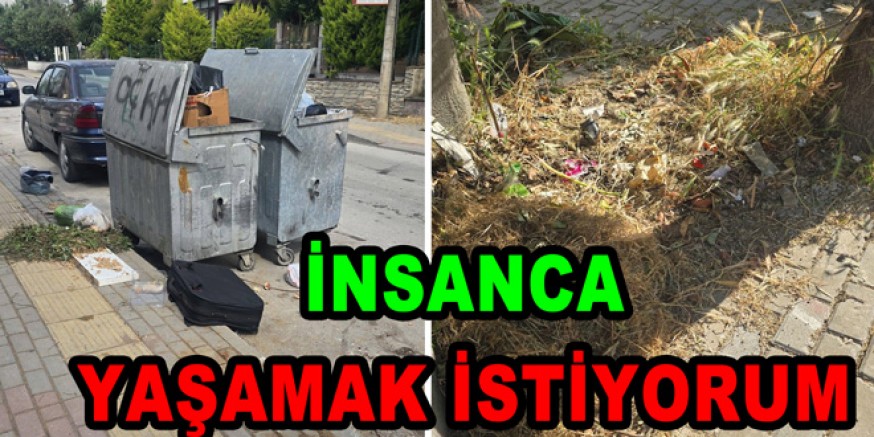 ÇİFTLİKKÖY’DE PİRELER BÖCEKLERLE YAŞAMAK İSTEMİYORUM