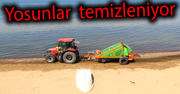 ​Çiftlikköy de yosunlar temizleniyor