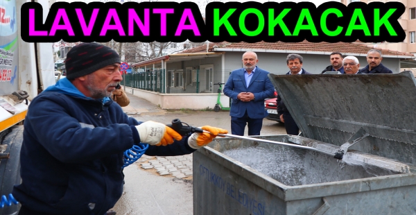 ÇİFTLİKKÖY SOKAKLARI LAVANTA KOKACAK