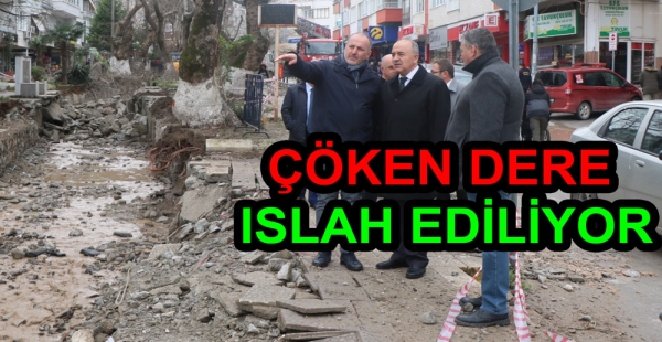 ÇINARCIK BELEDİYESİ DEREYİ ISLAH EDİYOR
