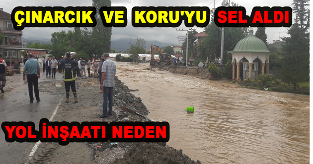 ÇINARCIK VE KORU'YU SEL ALDI