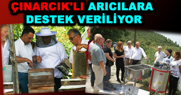 ÇINARCIK'LI ARICILARA DESTEK VERİLİYOR