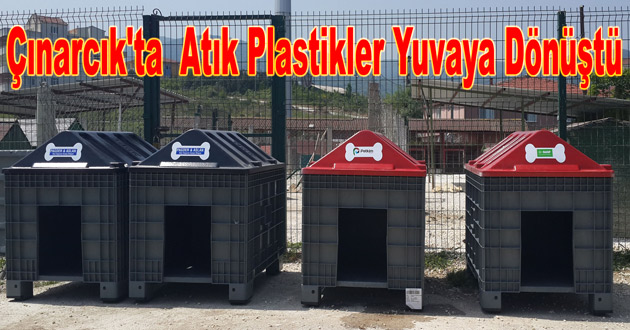Çınarcık'ta  Atık  Plastikler  Yuvaya  Dönüştü