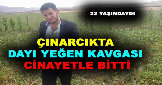 ÇINARCIKTA DAYI YEĞEN KAVGASI CİNAYETLE BİTTİ
