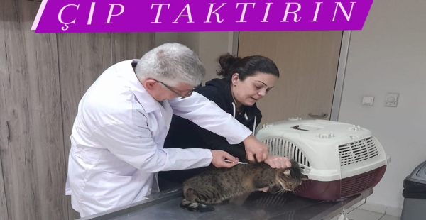 ÇİP TAKTİR PASAPORTUNU AL