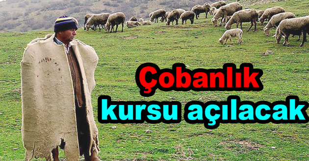 Çoban kursu açılıacak