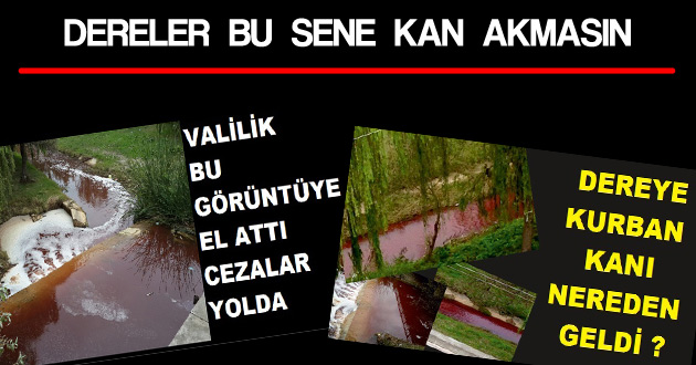 DERELERE BU SENE KAN AKITILMASIN