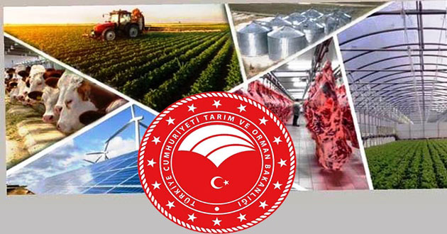 ​Devlet destek verecek