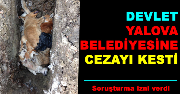 DEVLET YALOVA BELEDİYESİNE CEZAYI KESTİ