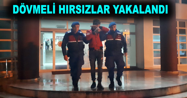 DÖVMELİ HIRSIZLAR YAKALANDI