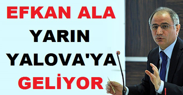 EFKAN ALA YALOVA'YA GELİYOR