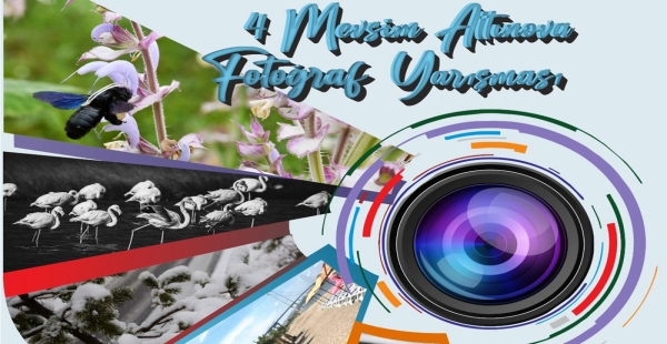 EN GÜZEL ALTINOVA FOTOĞRAFLARI ARANIYOR