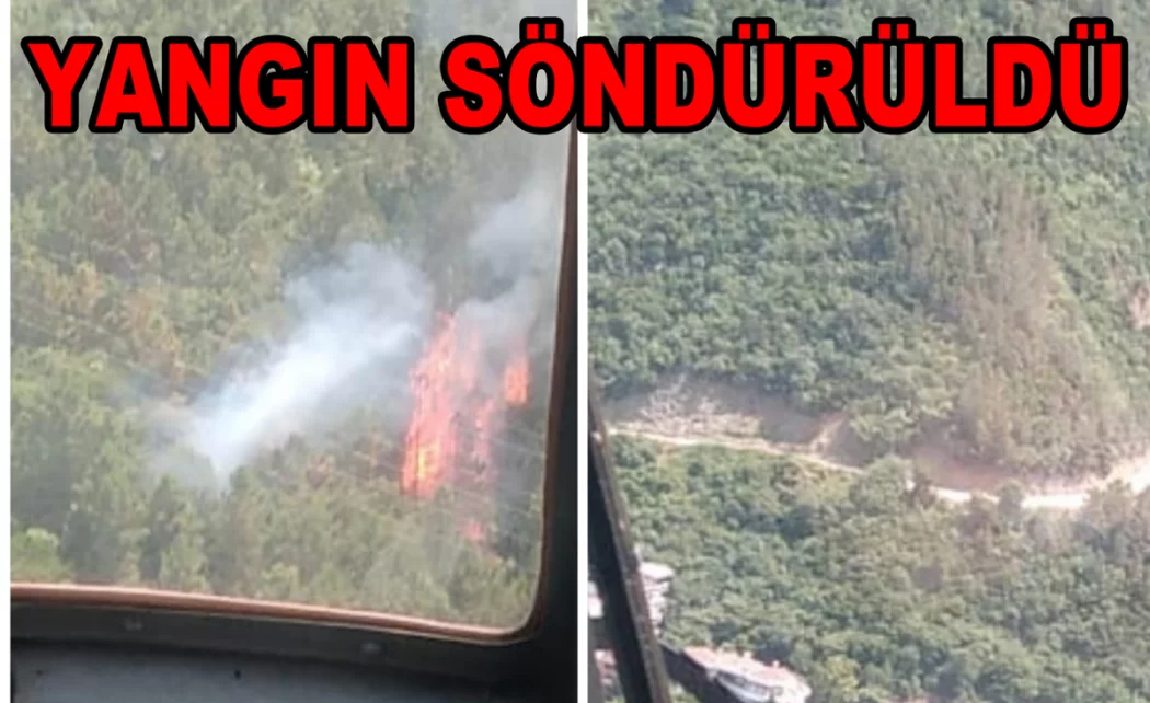 ESENKÖY'DE ORMAN YANGINI SÖNDÜRÜLDÜ