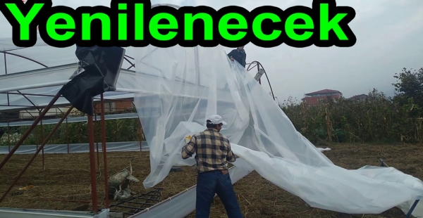 ESKİ SERA NAYLONU YENİLENECEK