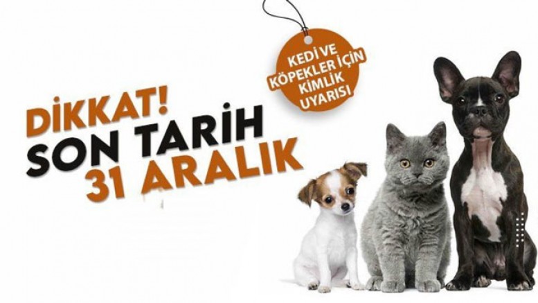 EVCİL HAYVANLARI OLANLARIN SÜRESİ DOLUYOR