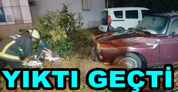 FIRTINA YALOVA'DA AĞAÇLARI YIKTI ÇATI UÇURDU
