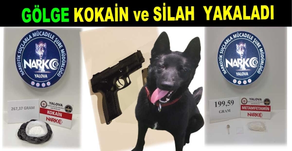 GÖLGE KOKAİN ve SİLAH  YAKALADI