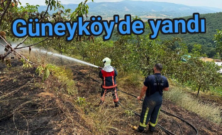 GÜNEYKÖY'DE MEYVE BAHÇESİ ALEVLERE TESLİM OLDU