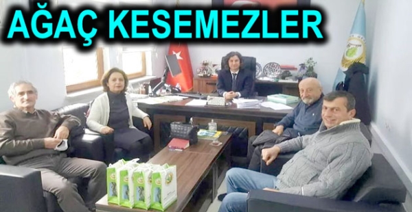 HABERİMİZ OLMADAN AĞAÇ KESEMEZLER