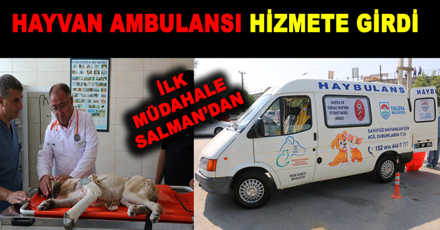 HAYVAN AMBULANSI HİZMETE GİRDİ