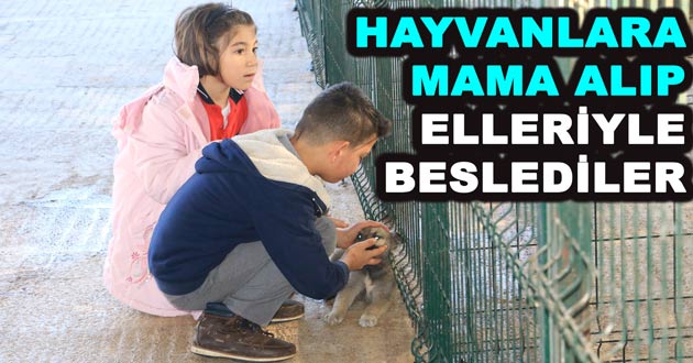 HAYVANLARA MAMA ALIP ELLERİYLE BESLEDİLER