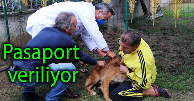 ​Hayvanlara pasaport veriliyor