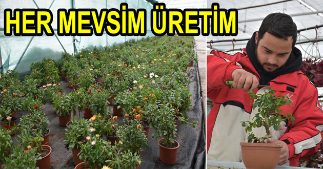 ​HER MEVSİM ÇİÇEK ÜRETİLİYOR