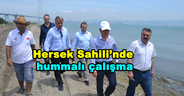 Hersek Sahili’nde hummalı çalışma