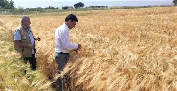 HUBUBAT ALIM FİYATLARI AÇIKLANDI