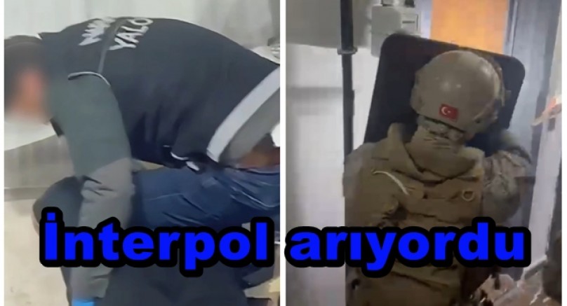 İNTERPOL ARIYORDU YALOVA'DA YAKALANDI