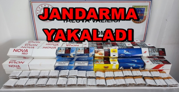 JANDARMA 26 BİN MAKARON YAKALADI