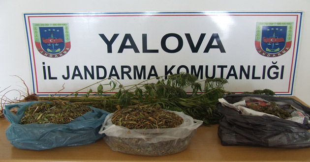 JANDARMADAN OPERASYON