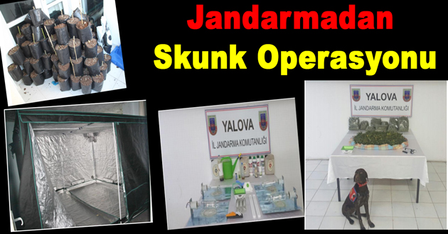 Jandarmadan Skunk Operasyonu