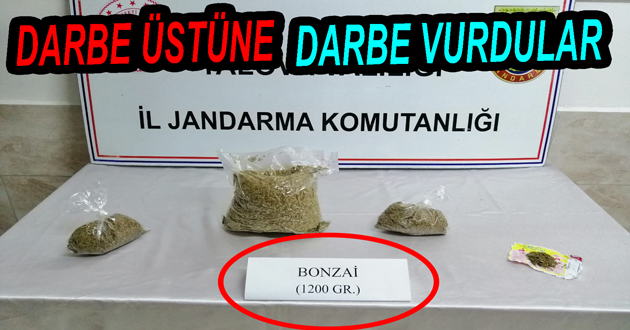 JANDARMADAN UYUŞTURUCU SATICILARINA DARBE ÜSTÜNE DARBE