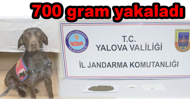 Jandarmadan Yalova da uyuşturucu operasyonu