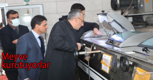 ​Jeotermal ile meyve kurutuyorlar