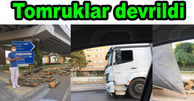 KAMYONDAN TOMRUKLAR YOLA SAÇILDI