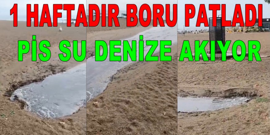 KANALİZASYON ATIK SUYU TİGEM PLAJI'NA AKIYOR