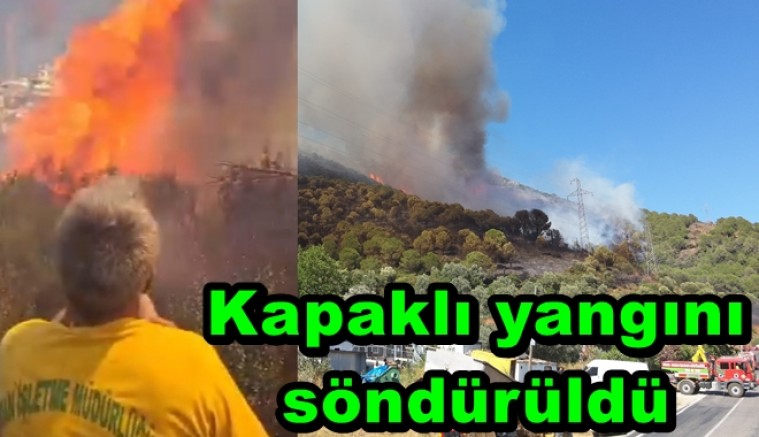 KAPAKLI'DAKİ ORMAN YANGINI 5 SAATTE SÖNDÜRÜLDÜ