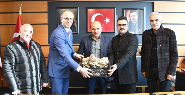 KARADERE DE İSTİRDYE MANTARI YETİŞTİRİLİYOR