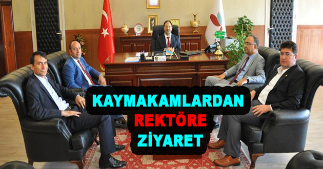 KAYMAKAMLARDAN REKTÖRE ZİYARET