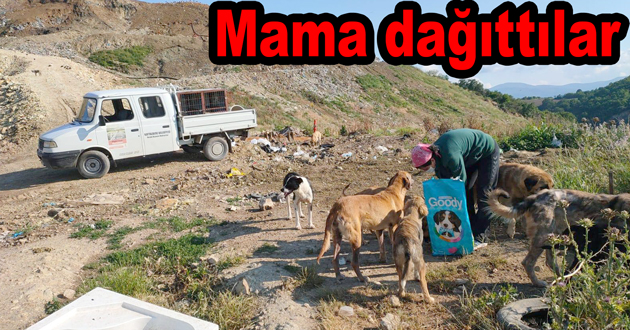 Kaytazdere de mama dağıtılıyor