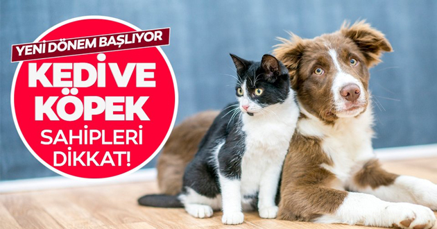 KEDİ VE KÖPEKLERE DERİALTI MİKROÇİP UYGULANACAK