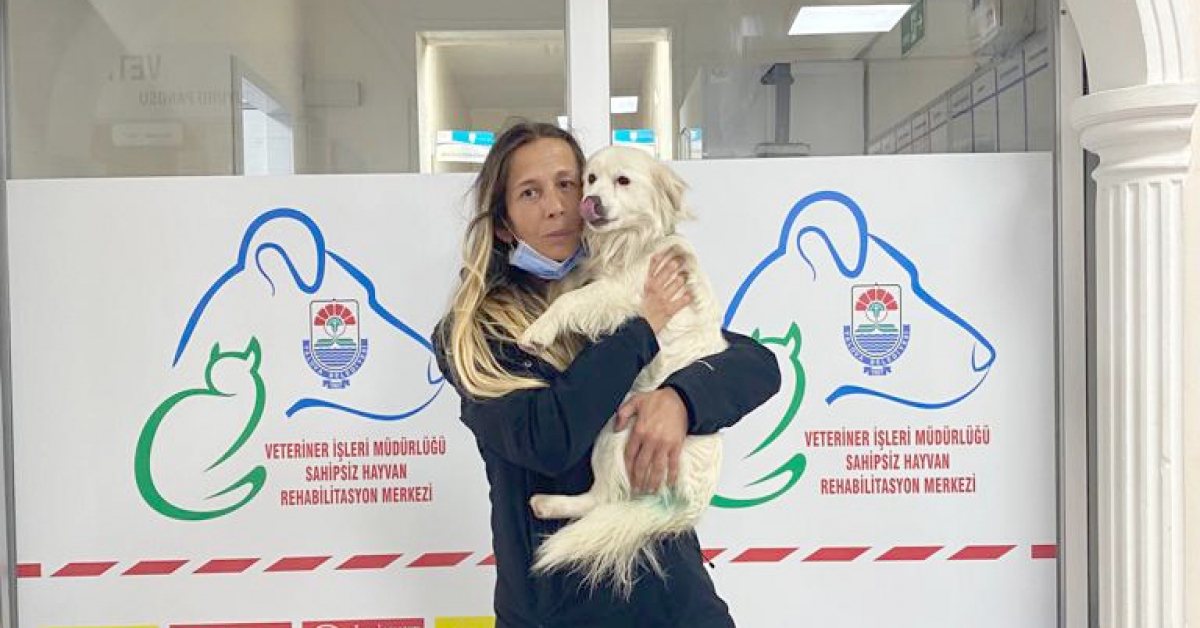 KEDİ VE KÖPEKLERİ SAHİPLENİN