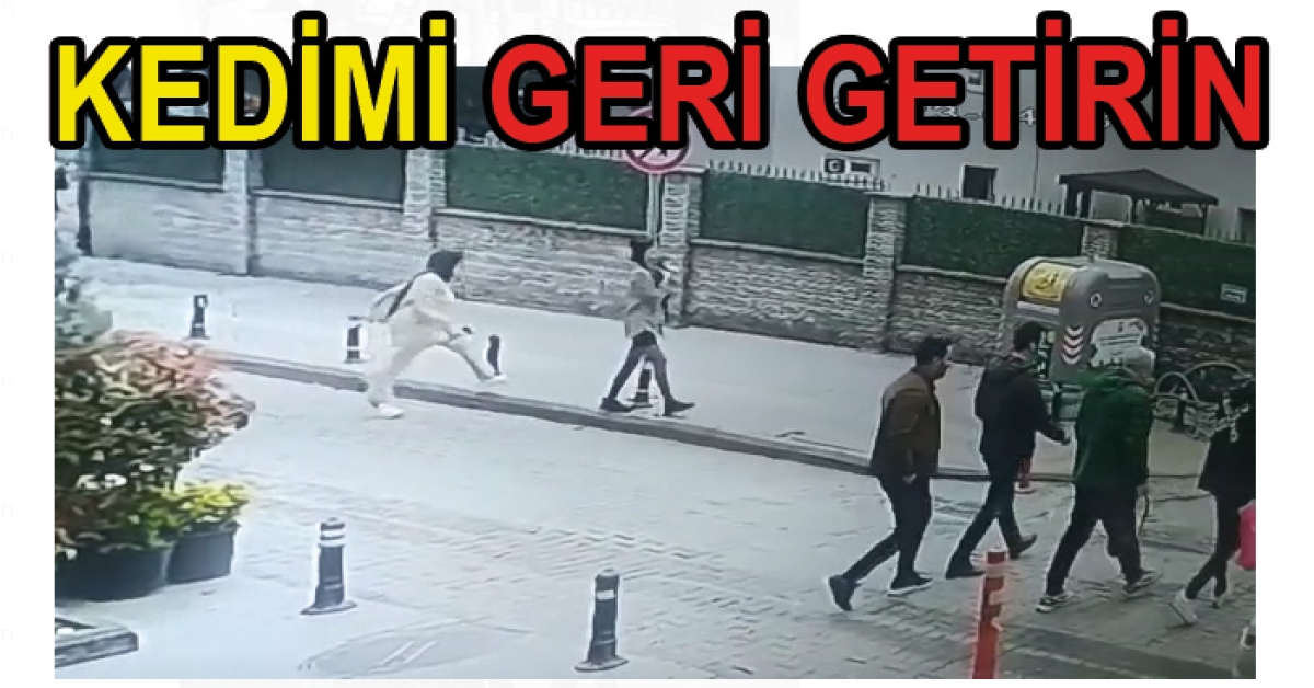 KEDİMİ GERİ GETİRİN