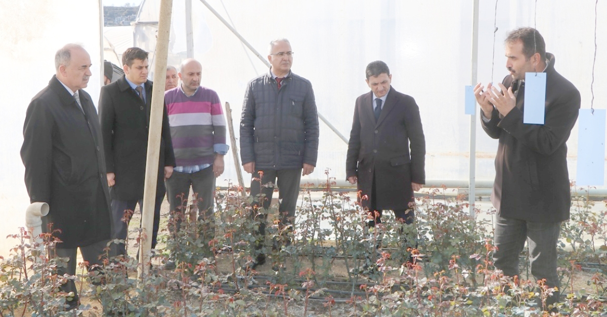 KESME GÜL ÜRETİCİLERİNE DESTEK GELDİ