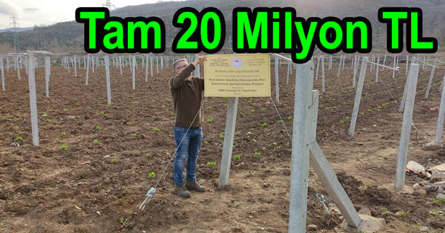 Kivi 20 Milyon lira kazandırıyor